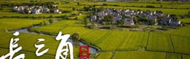 “苏超”赛场“气晕”的小恐龙有IP文创了