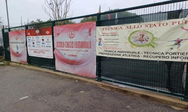 开云体育网址-【专栏】王勤伯：感谢女儿把我带回了另一个年纪